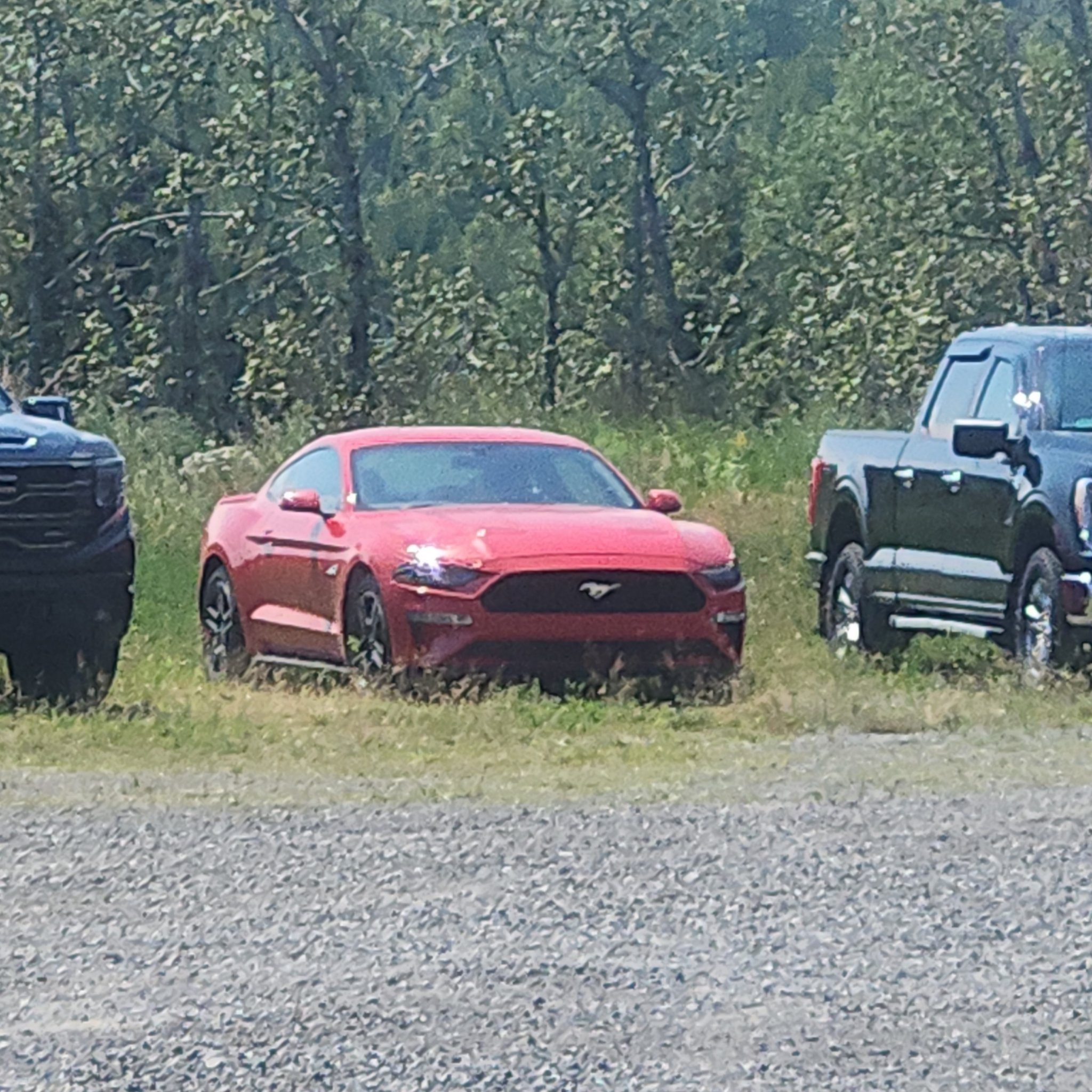 2015 Ford Mustang (S550)