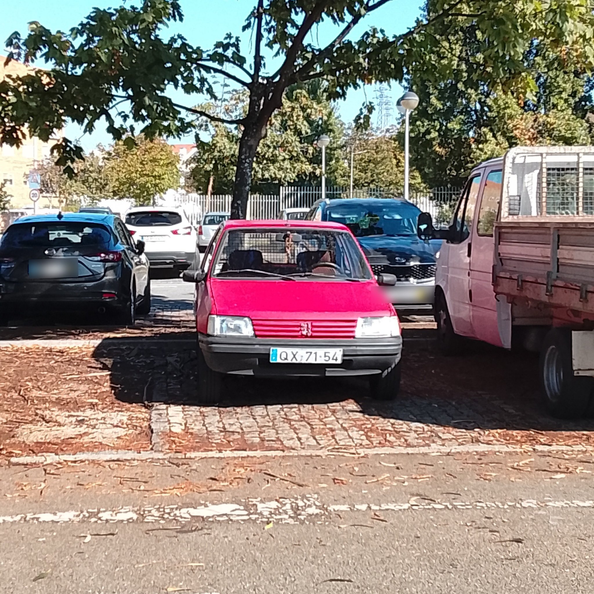 1983 Peugeot 205