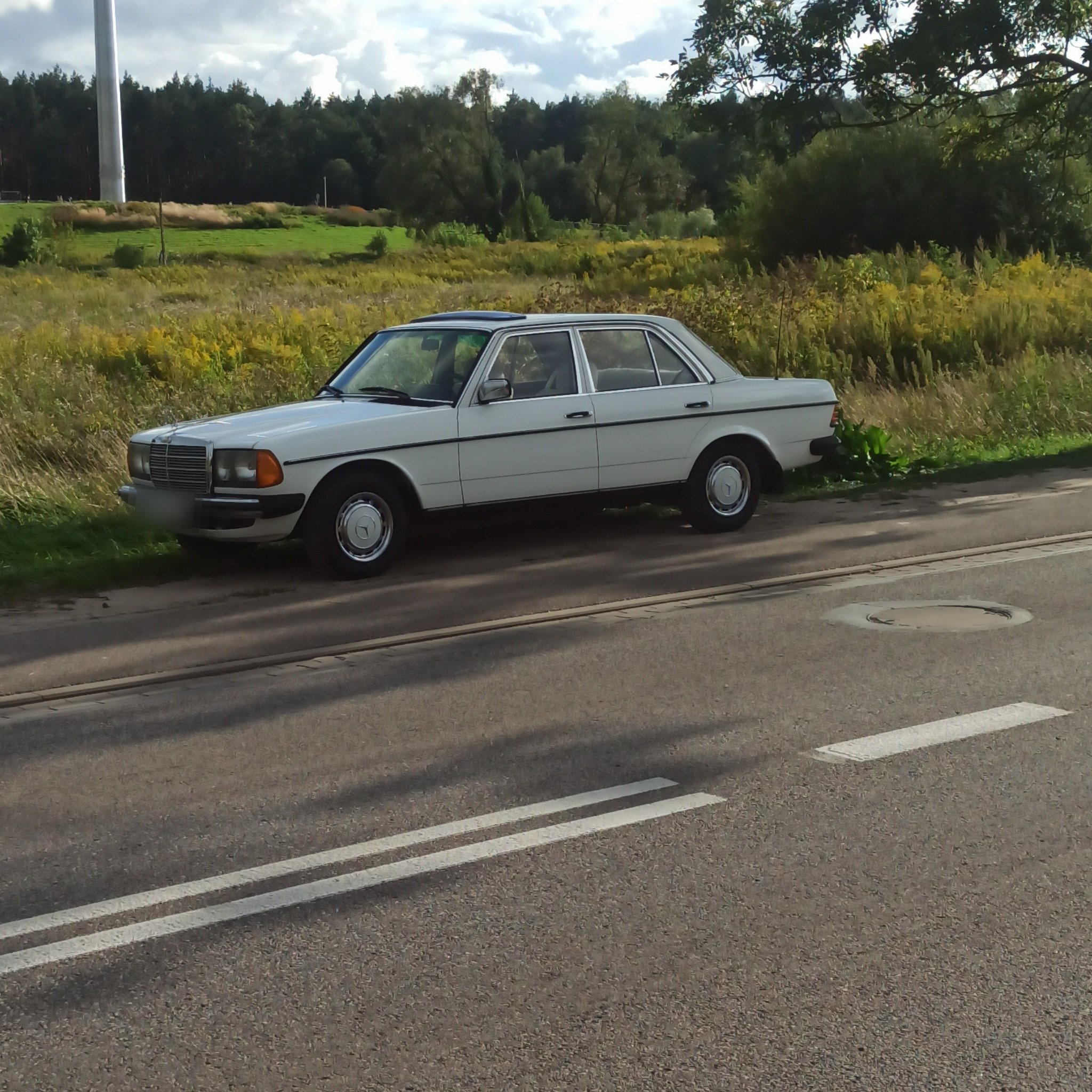 1976 Mercedes-Benz E-Class (W123)