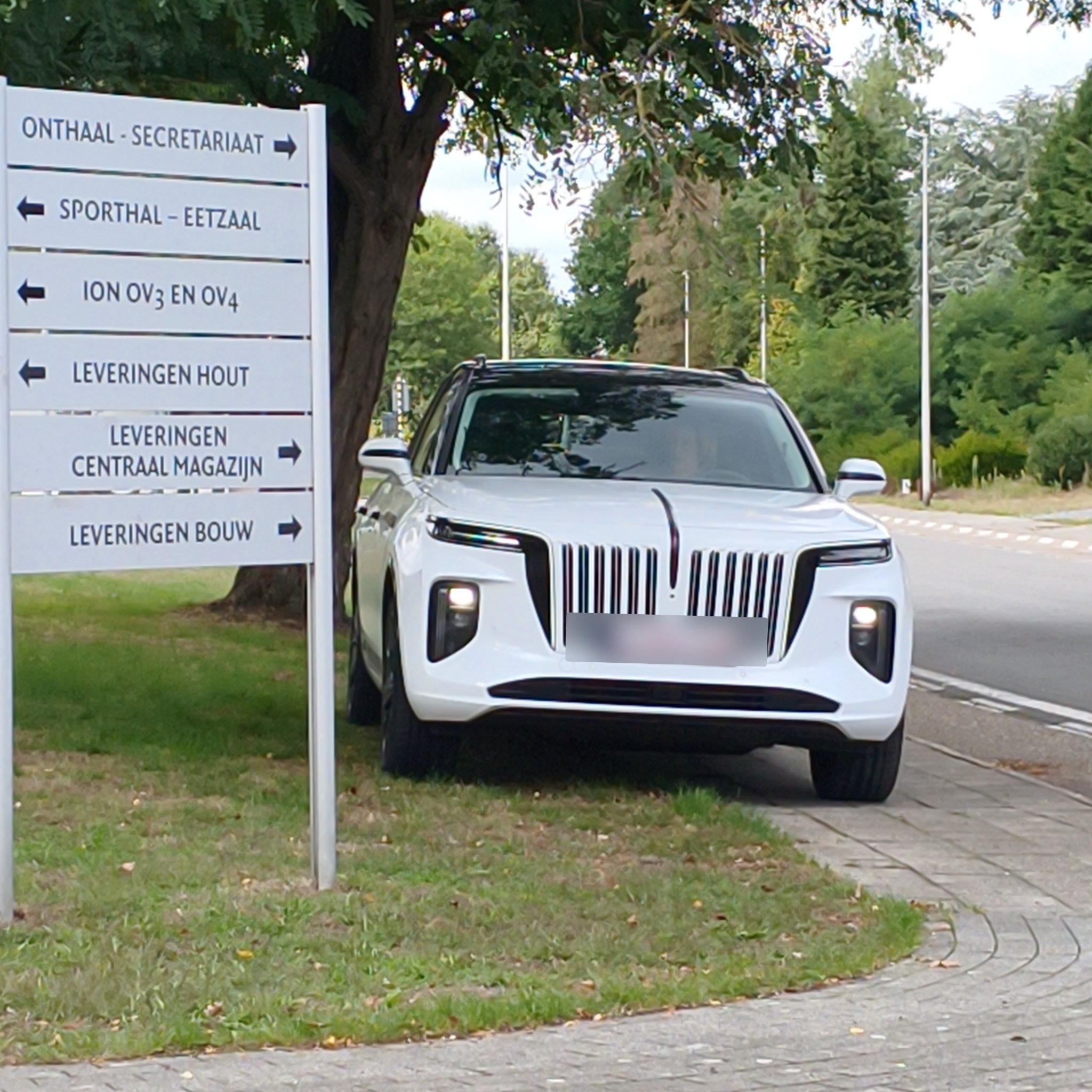 2020 Hongqi E-HS9