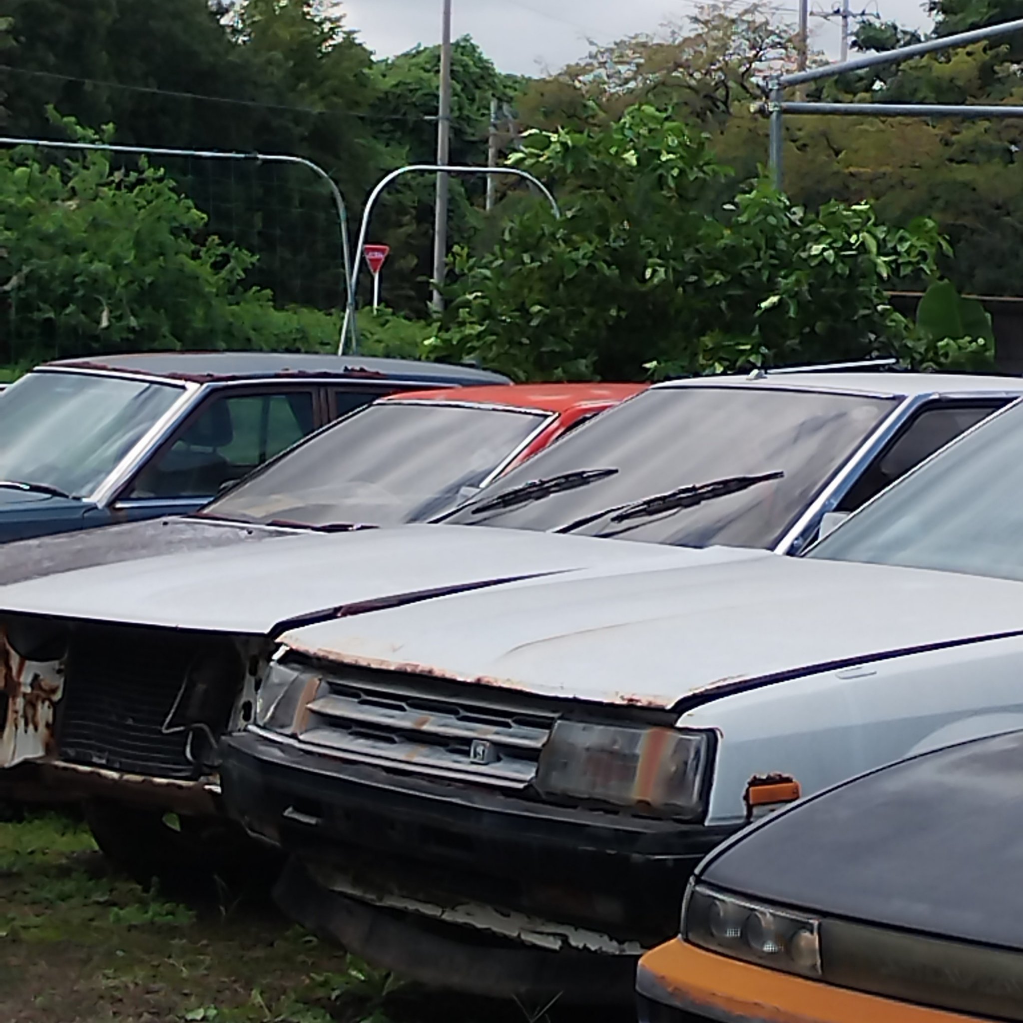 1981 Honda Accord (SY/SZ)