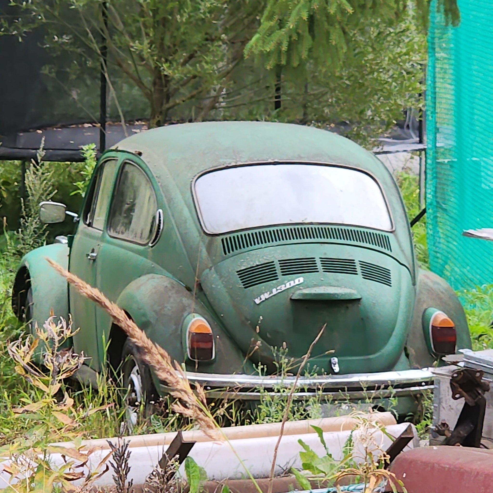 1966 Volkswagen Beetle 1300