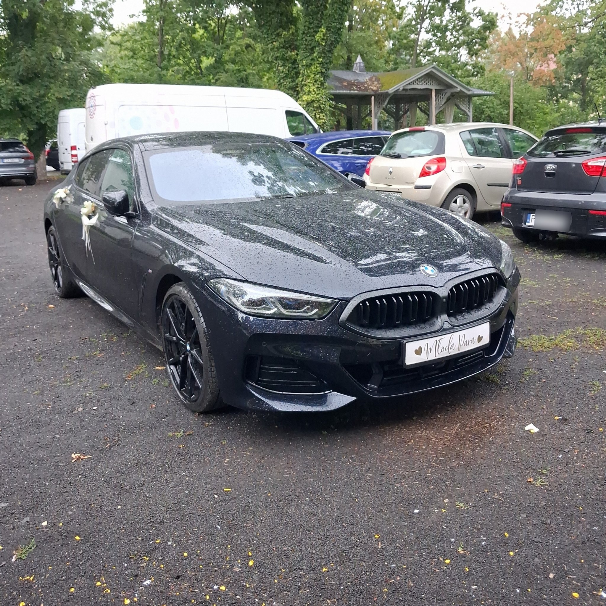 2018 BMW 8 Series (G15) Coupe