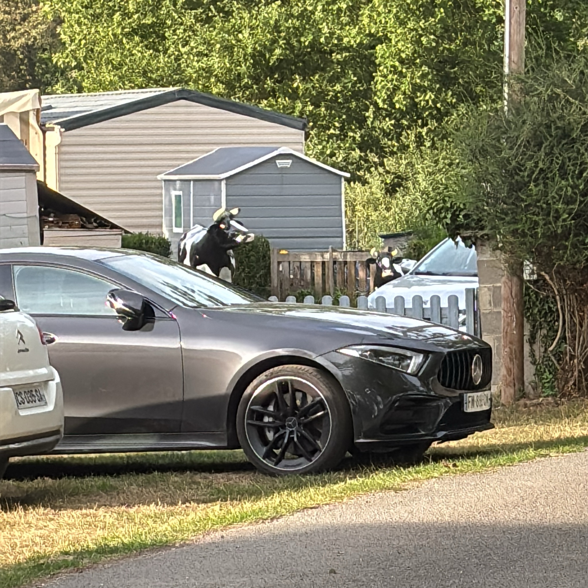 2018 Mercedes-AMG A 35 AMG (W177)