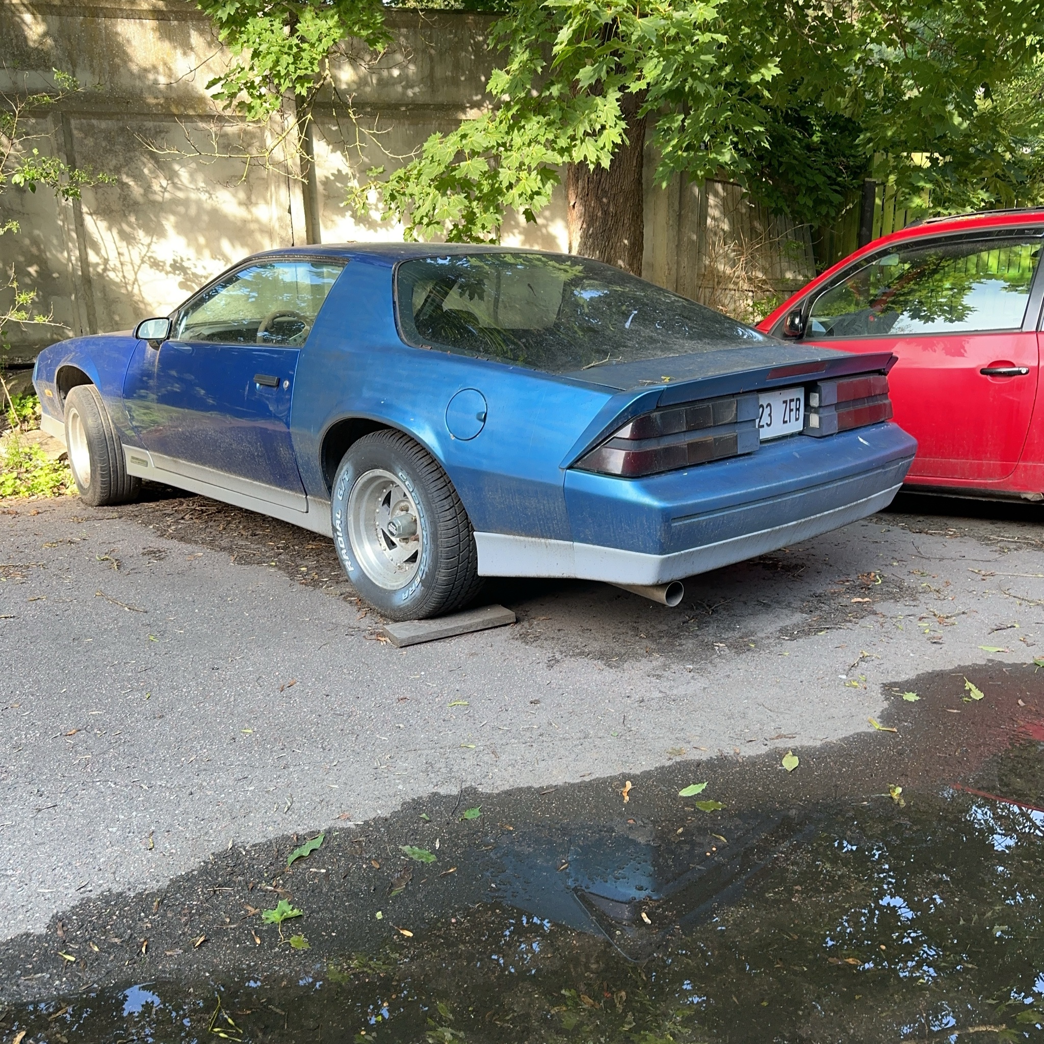 1982 Chevrolet Camaro (F-body 3rd Gen)